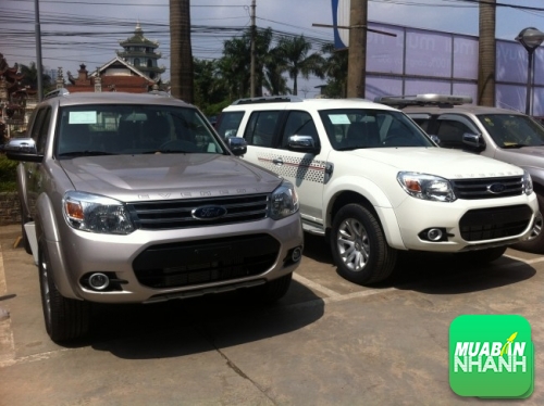 Tư vấn mua xe Ford Everest cũ 2 cầu và 1 cầu