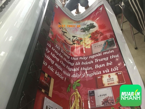 In nhanh phông nền, in nhanh hiflex, in nhanh bạt hiflex tại TPHCM