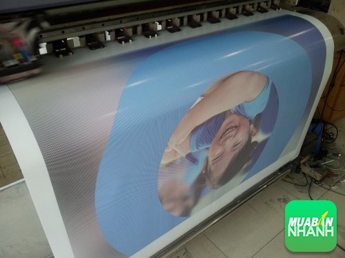 In nhanh decal lưới giá rẻ, chuyên in decal lưới khổ lớn tại TPHCM