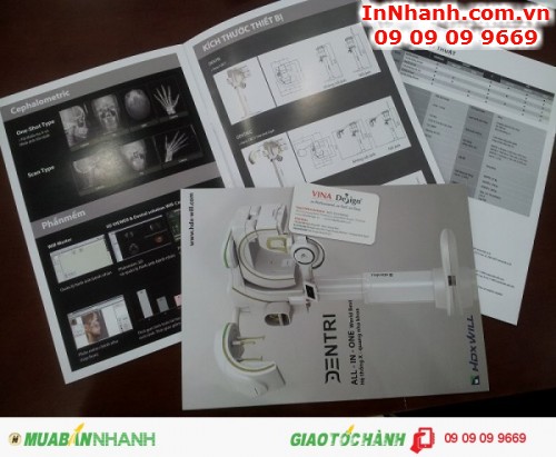In catalogue TPHCM | In catalogue giá rẻ | Giá in catalogue tại xưởng