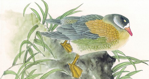 In nhanh canvas ngoài trời chất lượng cao