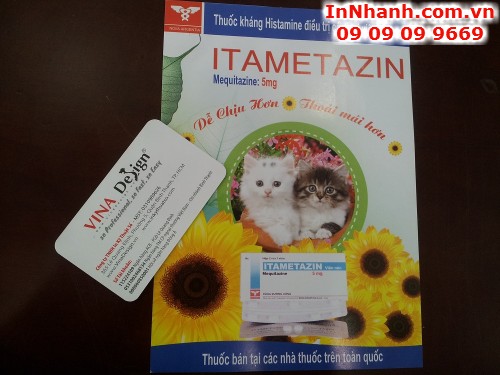 In nhanh tờ rơi tại tp HCM