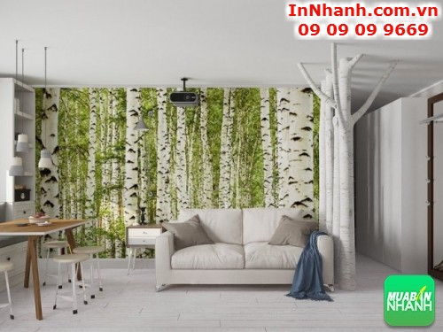 Mua nhà giá rẻ Quận Tây Hồ