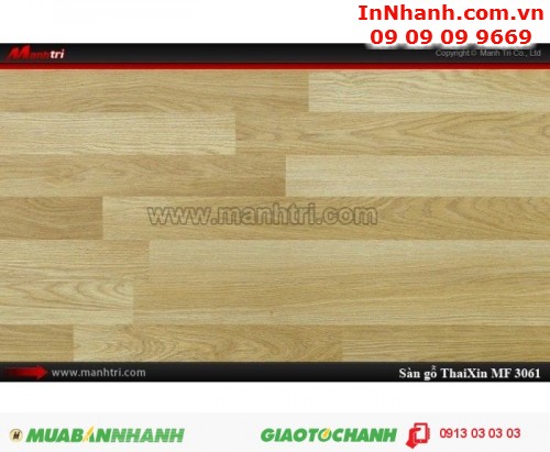 Sàn gỗ công nghiệp có bị mối mọt không - Công ty Sàn gỗ Mạnh Trí