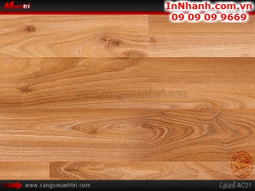 Sàn gỗ Janmi AC21 - gỗ công nghiệp bán chạy nhất của Janmi